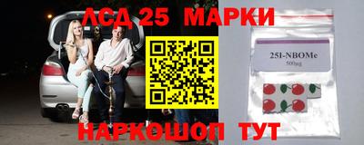 шишки Гатчина