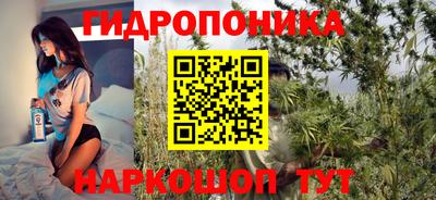 шишки Гатчина