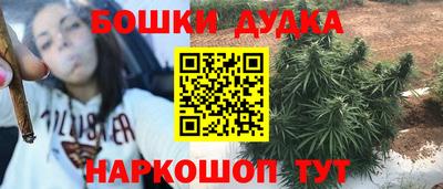 мдпв Гай