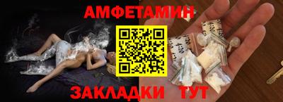 шишки Гатчина