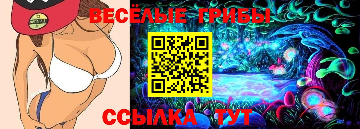 Клин  Псилоцибиновые грибы мухоморы  Псилоцибиновые грибы прущие грибы  Вход с VPN 