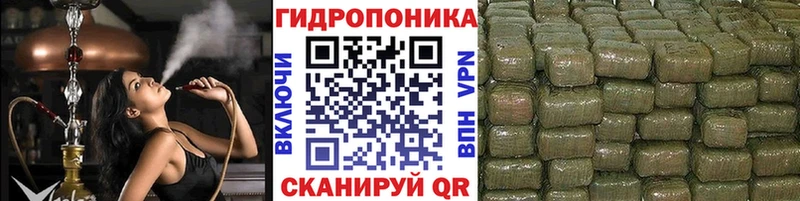 mega как войти  что такое   Клин  Бошки Шишки индика 